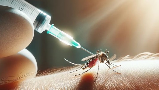 Vacuna contra el dengue: la provincia compró 160.000 dosis