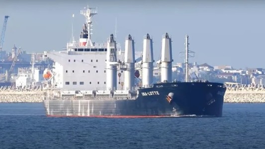 Detectan síntomas de viruela del mono tripulantes de un buque que llegará a San Lorenzo