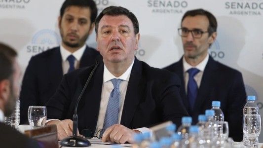 Lijo defendió en el Senado su candidatura a la Corte