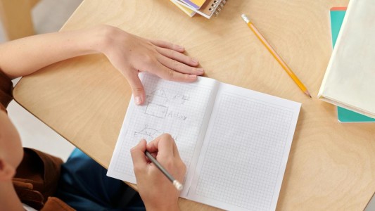 Advierten que 1 de cada 4 estudiantes de 15 años puede resolver un ejercicio de regla de tres simple