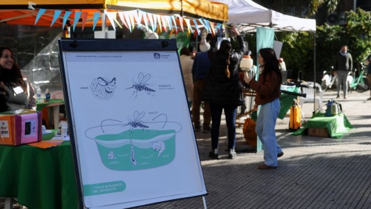 Santa Fe: comenzaron las jornadas de concientización y descacharrado contra el dengue