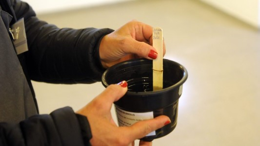 Instalaron 47 "ovitrampas" en los barrios para controlar el avance del dengue