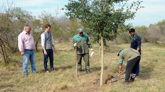 Campaña de Forestación: se plantaron 120 árboles donde antes había un basural