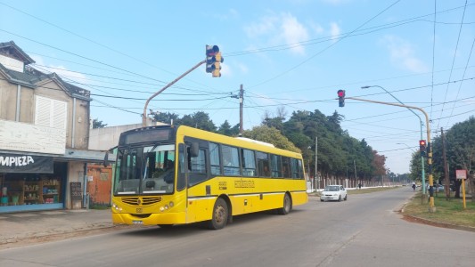 “No hay vuelta atrás” en la eliminación de subsidios al transporte del interior