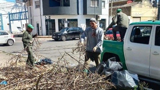 Más de 6.000 reclamos fueron solucionados en tiempo récord