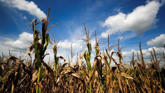 La Niña está por llegar a la Argentina: ¿qué condiciones climáticas se esperan?