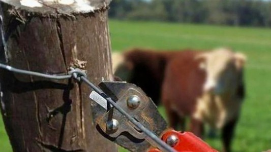 Cuvertino: “Necesitamos proteger a los productores rurales y garantizar la seguridad del campo”