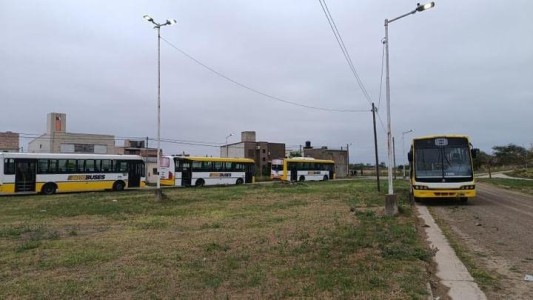 Colectivos: tras dos horas de asambleas, se normalizan los servicios urbanos e interurbanos