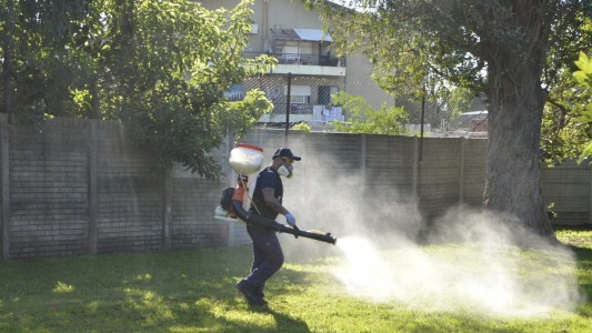 Alarma por la presencia del mosquito del dengue en toda la provincia: piden extremar cuidados