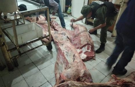 Los Pumas esclarecieron nueve casos de abigeato en septiembre