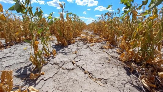 Cuatro departamentos del norte en emergencia agropecuaria: qué significa