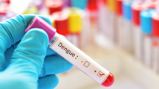 Anmat aprobó un nuevo kit para conocer el diagnóstico de dengue