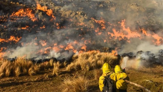 Córdoba: Condenaron a un hombre por provocar un incendio forestal