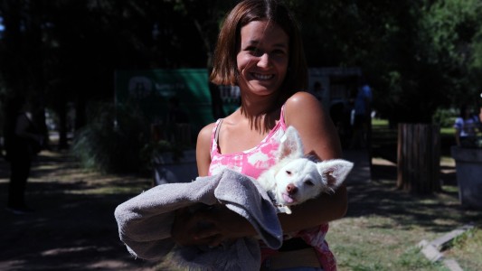 El IMUSA atendió más de 4700 animales en octubre