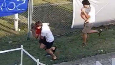 Córdoba: ocho heridos por el ataque de un enjambre de abejas durante un partido de fútbol