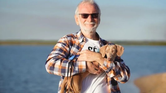 Proponen que las mascotas puedan viajar en el transporte público