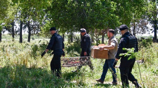 Multas más caras por cazar y comercializar fauna silvestre en la provincia
