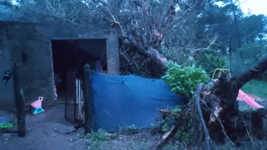 La tormenta dejó 18 árboles caídos en la ciudad de Santa Fe