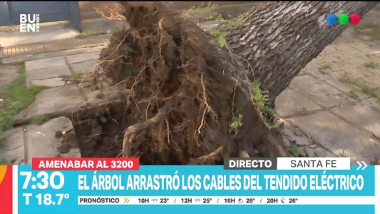 La tormenta de anoche dejó algunas ramas y árboles caídos en la ciudad