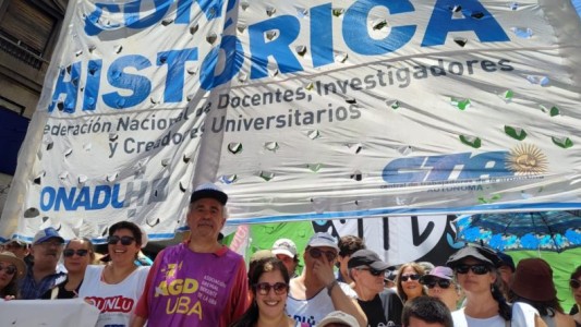 Afirman que los docentes universitarios perdieron más del 50% de su salario