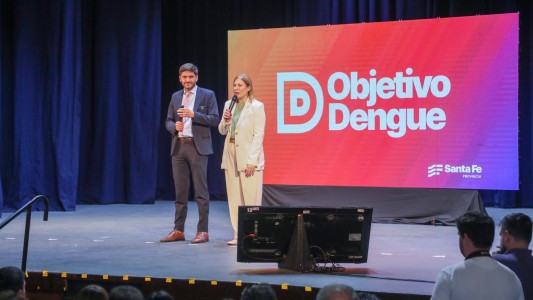La provincia destina $1.500 millones para la prevención del dengue
