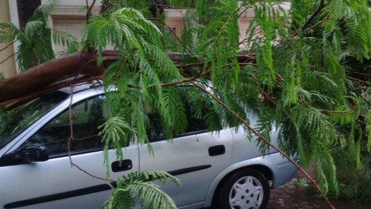 Lluvia en Santa Fe: un árbol cayó sobre un auto en Francia al 1200