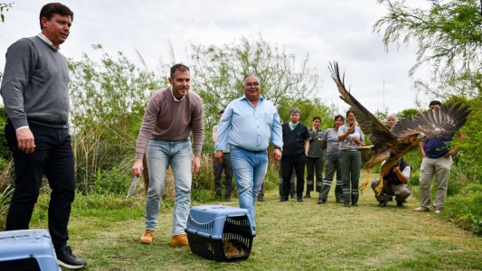 Biodiversidad: Provincia ya realizó 1.400 rescates de animales