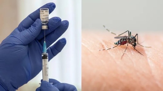 Sigue el operativo de vacunación contra el dengue para quienes lo contrajeron