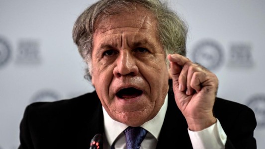 LA OEA condenó la "detención arbitraria" del gendarme argentino en Venezuela