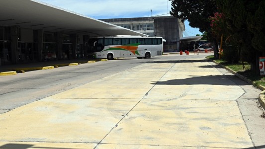 Roedores en la Terminal de Ómnibus: qué hace el municipio para solucionar el problema