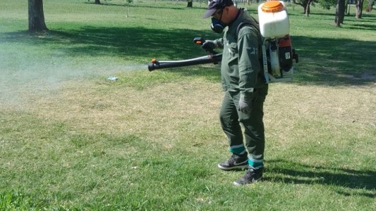 Invasión de mosquitos: cómo es el cronograma de fumigaciones de esta semana en Santa Fe