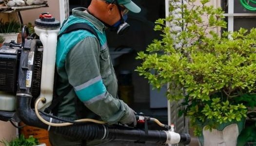 El municipio intensificó la fumigación contra los mosquitos