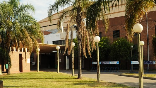 Picaduras de alacrán: en 2024 se registraron un 15% más de casos