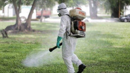 Invasión de mosquitos: dónde se fumiga este viernes en Santa Fe