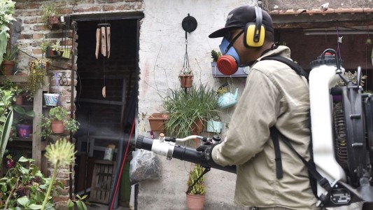 Dengue: dónde se fumiga este jueves en Santa Fe