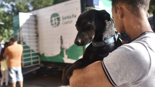 El IMUSA realizará castraciones gratuitas en barrio Acería