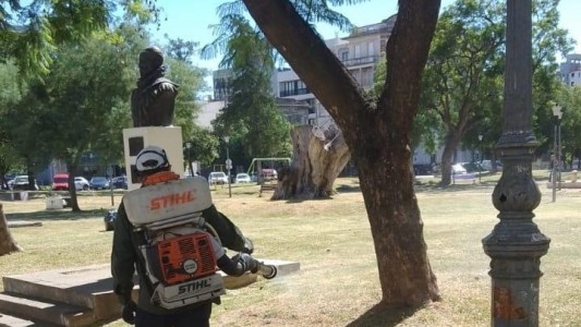 Fumigaciones: así es el cronograma de trabajos este miércoles 22 de enero