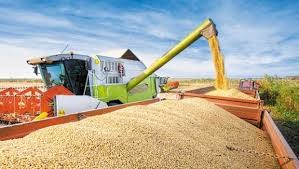 El sector agroindustrial exportó por US$ 9.637 millones en 2024, un 26% más que en 2023