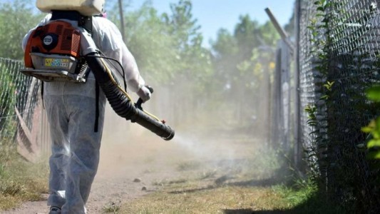 Fumigaciones: así se llevan adelante los trabajos este jueves en la ciudad