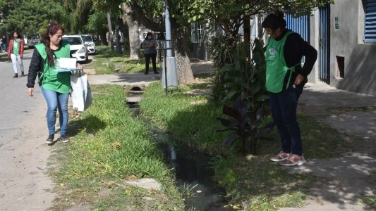 Dengue: advierten que los casos podrían aumentra entre "marzo y abril"