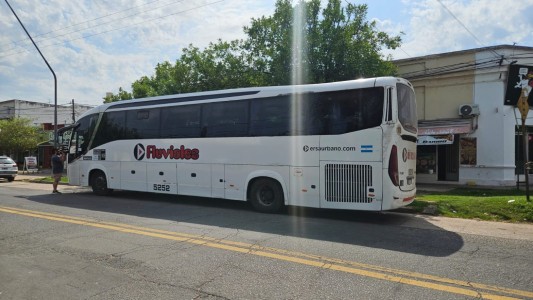 Quedó en libertad la personas que robó y chocó un colectivo en la ciudad