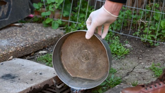 Dengue: ¿para cuándo se espera el pico de contagios en la ciudad?