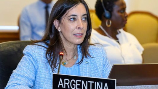 Milei le pidió la renuncia a Sonia Cavallo como embajadora en la OEA