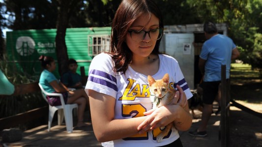 El IMUSA realizará castración, desparasitación y vacunación antirrábica gratuita en Scarafía