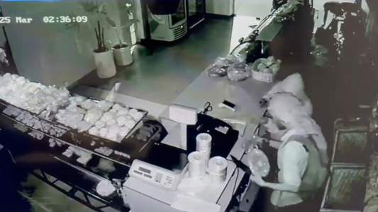 Video: Asaltaron una panadería y quedaron registrados por las cámaras de seguridad