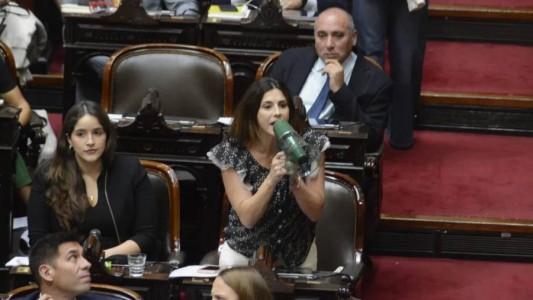 En medio de gritos sesiona la Cámara de Diputados para tratar el DNU sobre el FMI