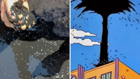 Como en Los Simpson: hacían una excavación en una escuela de Argentina y encontraron petróleo