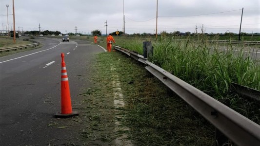 Realizan trabajos de corte y desmalezamiento en los accesos a Santa Fe