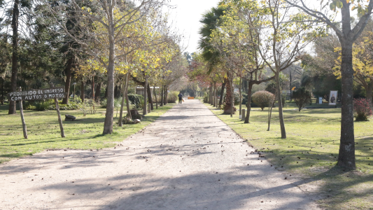 Domingo con temperatura otoñal: ¿Qué indica el pronóstico extendido?