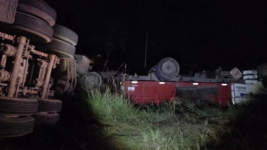 Un camión chocó contra un caballo: el animal falleció casi al instante